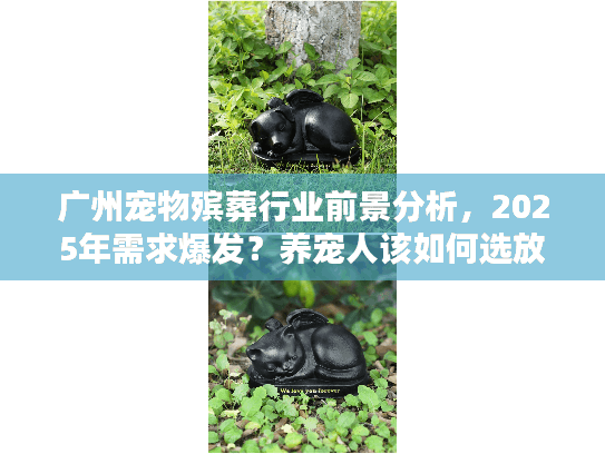 广州宠物殡葬行业前景分析，2025年需求爆发？养宠人该如何选放心的送别服务？
