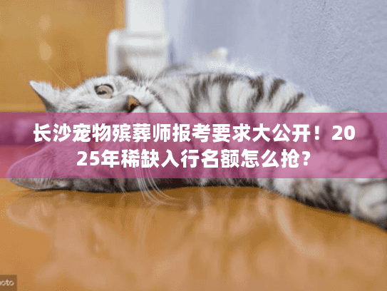 长沙宠物殡葬师报考要求大公开！2025年稀缺入行名额怎么抢？