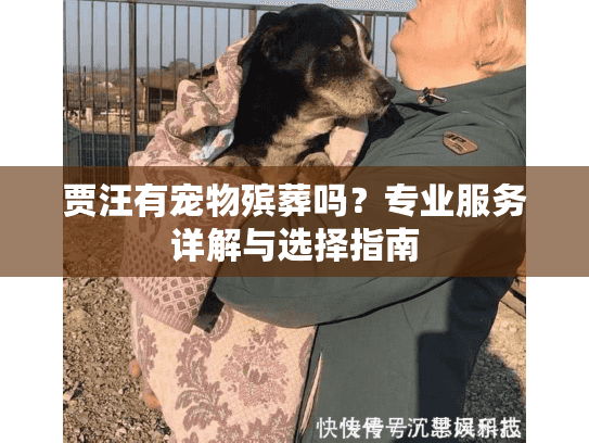 贾汪有宠物殡葬吗？专业服务详解与选择指南