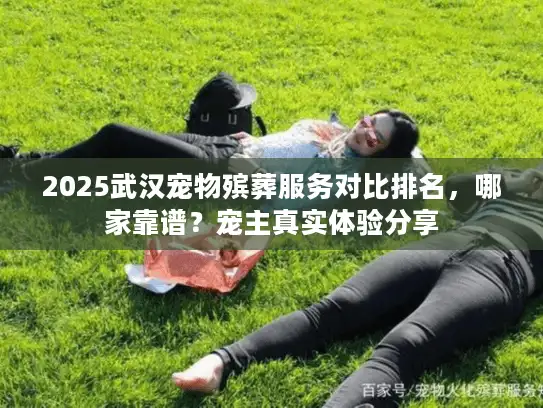 2025武汉宠物殡葬服务对比排名，哪家靠谱？宠主真实体验分享