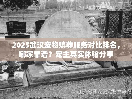 2025武汉宠物殡葬服务对比排名，哪家靠谱？宠主真实体验分享