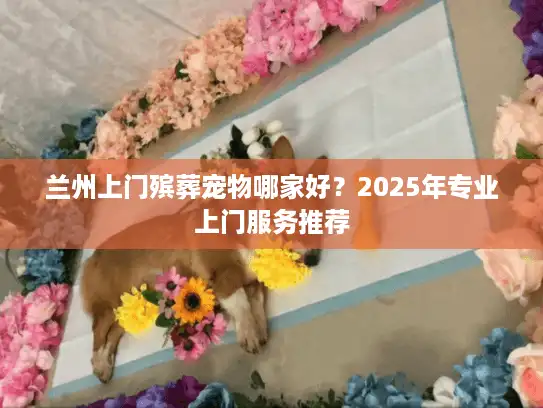 兰州上门殡葬宠物哪家好？2025年专业上门服务推荐