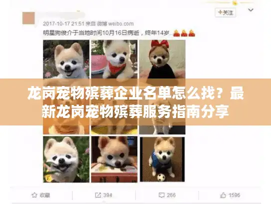 龙岗宠物殡葬企业名单怎么找？最新龙岗宠物殡葬服务指南分享