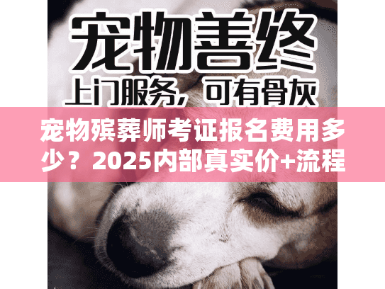 宠物殡葬师考证报名费用多少？2025内部真实价+流程避坑