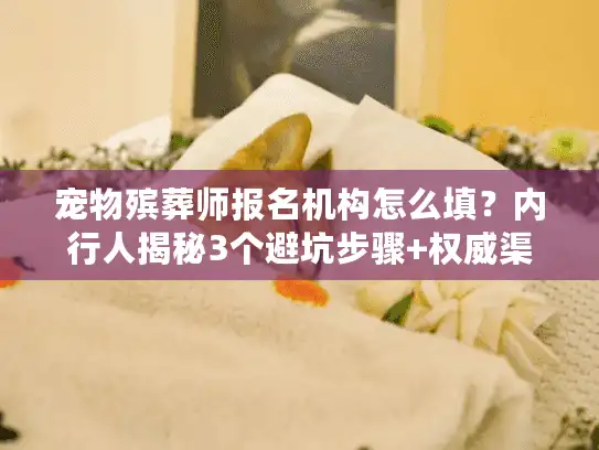 宠物殡葬师报名机构怎么填？内行人揭秘3个避坑步骤+权威渠道推荐