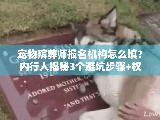 宠物殡葬师报名机构怎么填？内行人揭秘3个避坑步骤+权威渠道推荐