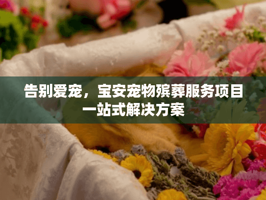 告别爱宠,宝安宠物殡葬服务项目一站式解决方案 告别爱宠,宝安宠物殡葬服务项目一站式解决方案
