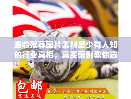 宠物殡葬图片素材里少有人知的行业真相,真实案例教你选靠谱服务 宠物殡葬图片素材里少有人知的行业真相,真实案例教你选靠谱服务