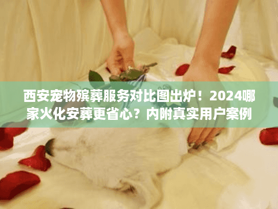 西安宠物殡葬服务对比图出炉！2024哪家火化安葬更省心？内附真实用户案例