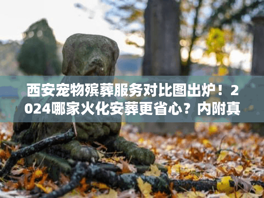 西安宠物殡葬服务对比图出炉！2024哪家火化安葬更省心？内附真实用户案例