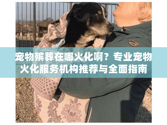 宠物殡葬在哪火化啊?专业宠物火化服务机构推荐与全面指南 宠物殡葬在哪火化啊?专业宠物火化服务机构推荐与全面指南