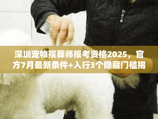 深圳宠物殡葬师报考资格2025，官方7月最新条件+入行3个隐藏门槛揭秘