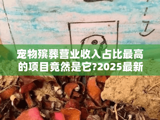 宠物殡葬营业收入占比最高的项目竟然是它?2025最新数据解析