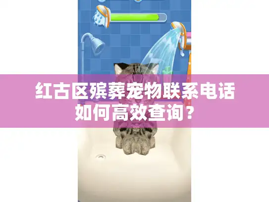 红古区殡葬宠物联系电话如何高效查询？