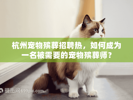 杭州宠物殡葬招聘热，如何成为一名被需要的宠物殡葬师？