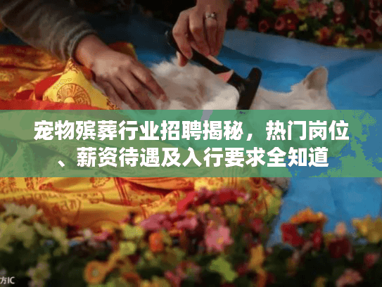 宠物殡葬行业招聘揭秘，热门岗位、薪资待遇及入行要求全知道