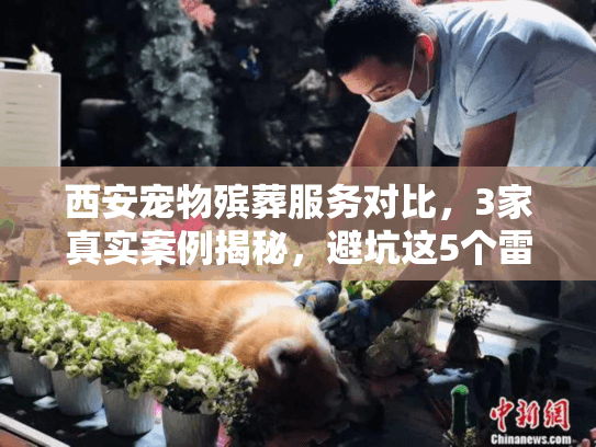 西安宠物殡葬服务对比，3家真实案例揭秘，避坑这5个雷区！