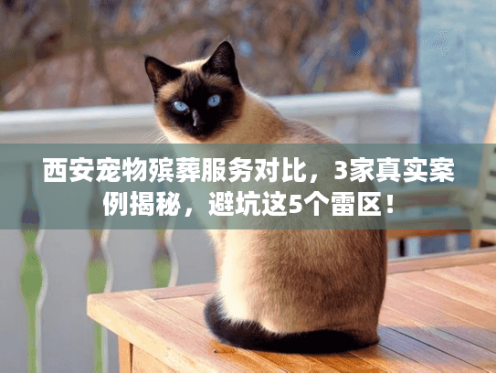 西安宠物殡葬服务对比，3家真实案例揭秘，避坑这5个雷区！