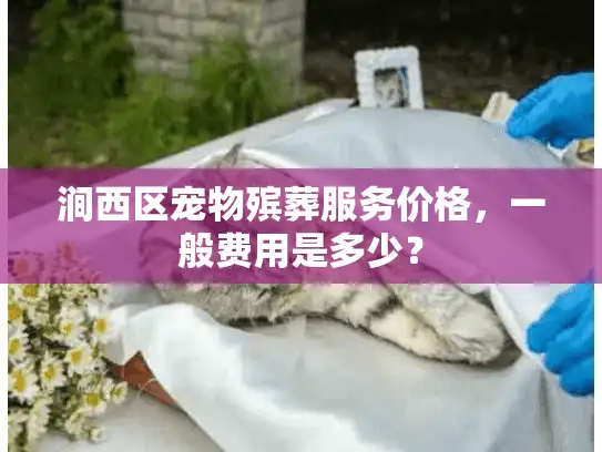 涧西区宠物殡葬服务价格,一般费用是多少? 涧西区宠物殡葬服务价格,一般费用是多少?