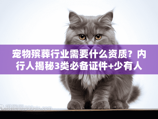 宠物殡葬行业需要什么资质?内行人揭秘3类必备证件+少有人知的合规细节 宠物殡葬行业需要什么资质?内行人揭秘3类必备证件+少有人知的合规细节