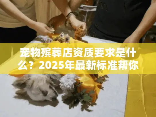 宠物殡葬店资质要求是什么？2025年最新标准帮你避开无证陷阱