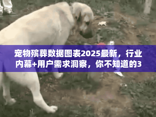 宠物殡葬数据图表2025最新,行业内幕+用户需求洞察,你不知道的3个关键趋势? 宠物殡葬数据图表2025最新,行业内幕+用户需求洞察,你不知道的3个关键趋势?
