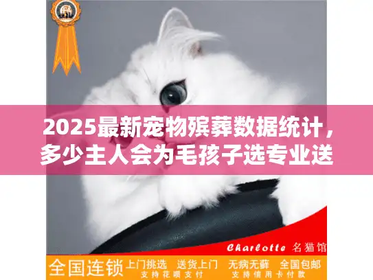 2025最新宠物殡葬数据统计，多少主人会为毛孩子选专业送别？