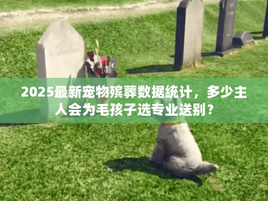 2025最新宠物殡葬数据统计，多少主人会为毛孩子选专业送别？