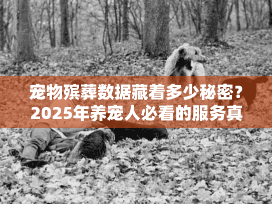 宠物殡葬数据藏着多少秘密？2025年养宠人必看的服务真相与避坑技巧