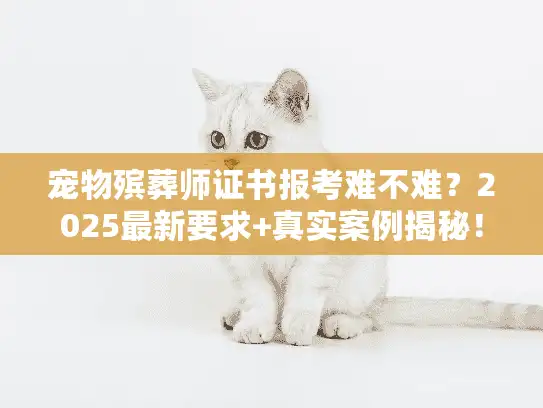 宠物殡葬师证书报考难不难？2025最新要求+真实案例揭秘！