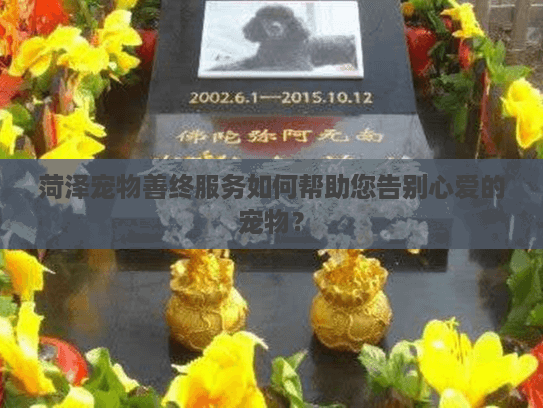 菏泽宠物善终服务如何帮助您告别心爱的宠物？
