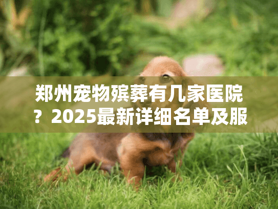郑州宠物殡葬有几家医院？2025最新详细名单及服务指南