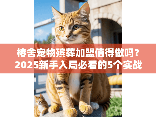 椿舍宠物殡葬加盟值得做吗？2025新手入局必看的5个实战真相