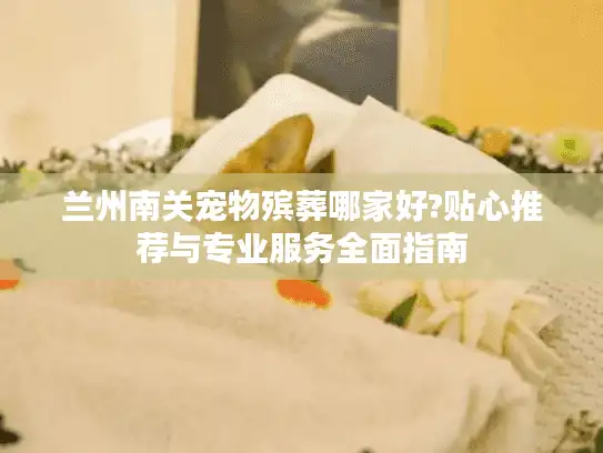 兰州南关宠物殡葬哪家好?贴心推荐与专业服务全面指南