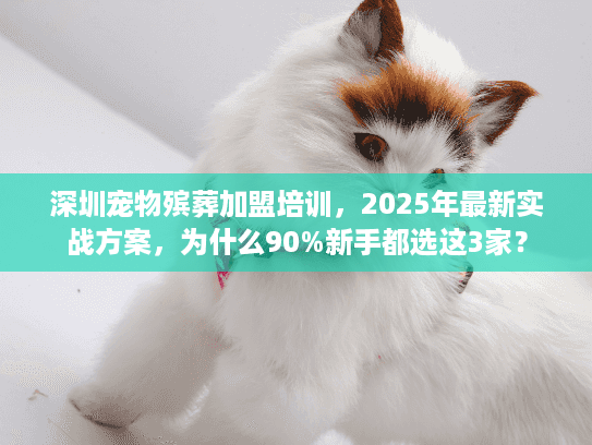 深圳宠物殡葬加盟培训，2025年最新实战方案，为什么90%新手都选这3家？