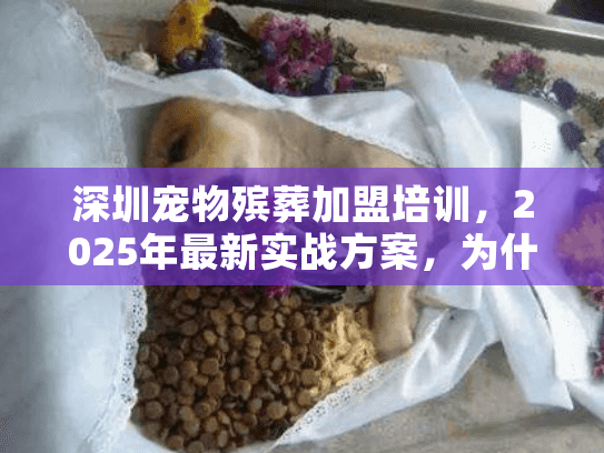 深圳宠物殡葬加盟培训，2025年最新实战方案，为什么90%新手都选这3家？