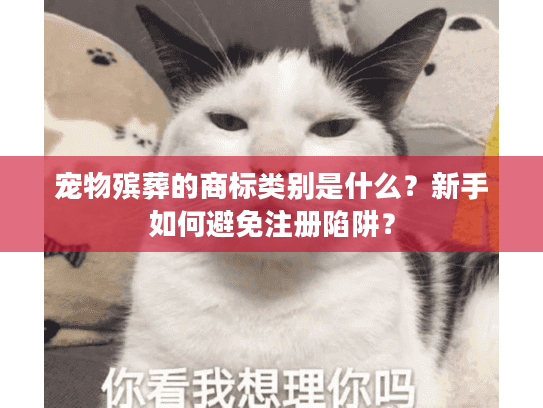 宠物殡葬的商标类别是什么？新手如何避免注册陷阱？