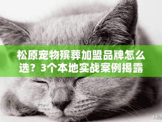 松原宠物殡葬加盟品牌怎么选？3个本地实战案例揭露行业隐藏门道