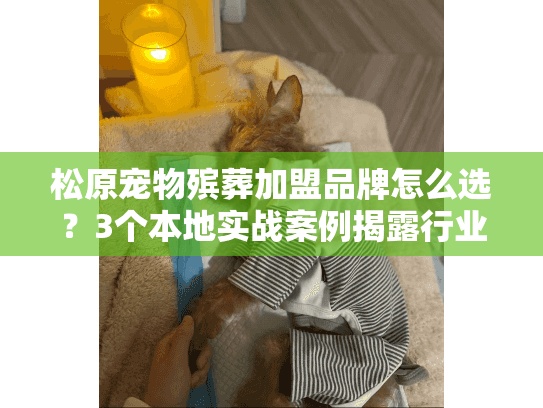 松原宠物殡葬加盟品牌怎么选？3个本地实战案例揭露行业隐藏门道