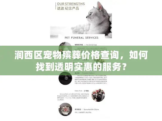 涧西区宠物殡葬价格查询，如何找到透明实惠的服务？
