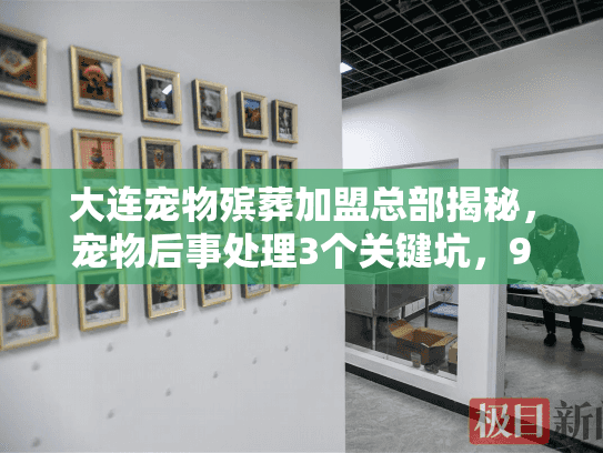 大连宠物殡葬加盟总部揭秘，宠物后事处理3个关键坑，90%养宠人都踩过！