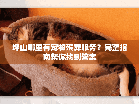 坪山哪里有宠物殡葬服务？完整指南帮你找到答案