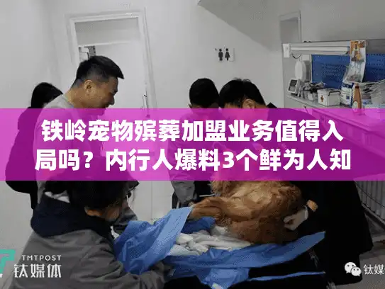 铁岭宠物殡葬加盟业务值得入局吗？内行人爆料3个鲜为人知的赚钱逻辑