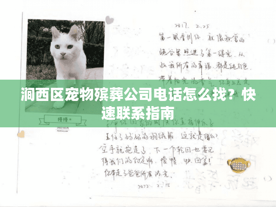 涧西区宠物殡葬公司电话怎么找？快速联系指南