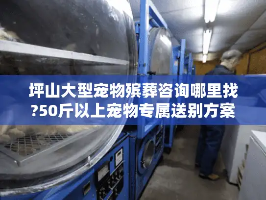 坪山大型宠物殡葬咨询哪里找?50斤以上宠物专属送别方案