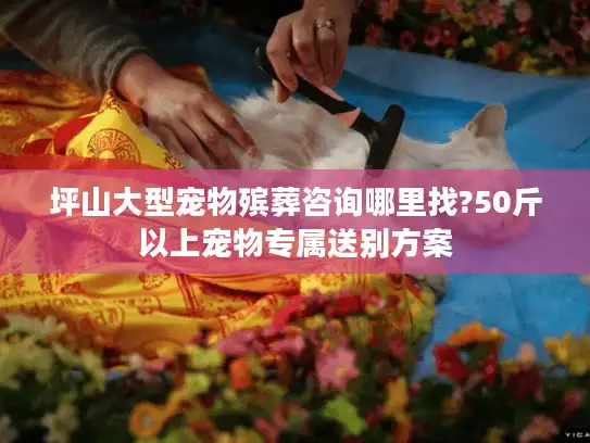 坪山大型宠物殡葬咨询哪里找?50斤以上宠物专属送别方案