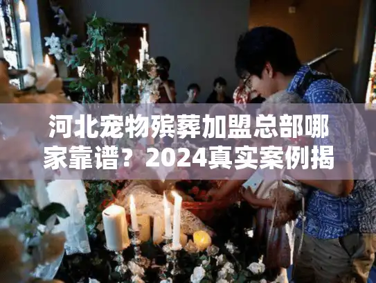 河北宠物殡葬加盟总部哪家靠谱？2024真实案例揭秘行业隐藏规则