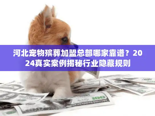 河北宠物殡葬加盟总部哪家靠谱？2024真实案例揭秘行业隐藏规则