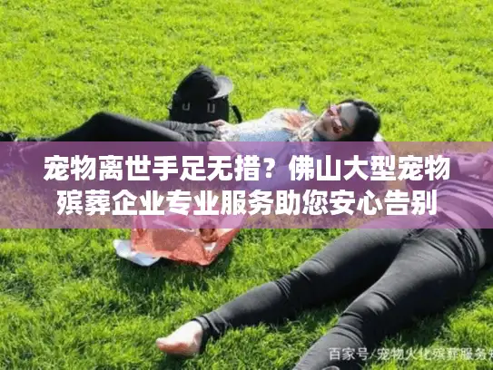 宠物离世手足无措？佛山大型宠物殡葬企业专业服务助您安心告别