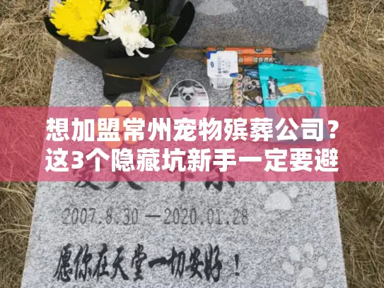 想加盟常州宠物殡葬公司?这3个隐藏坑新手一定要避开! 想加盟常州宠物殡葬公司?这3个隐藏坑新手一定要避开!